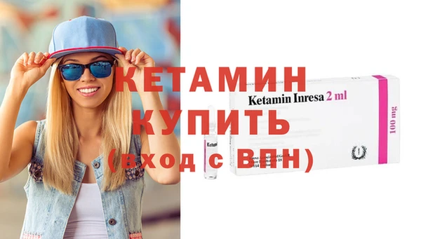 шишки Абаза