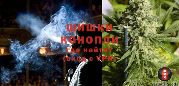 шишки Алексеевка