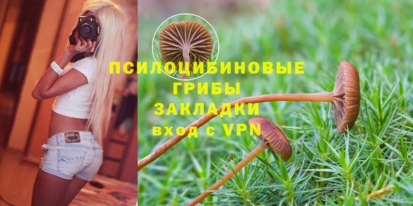 шишки Абаза