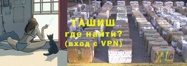 шишки Абаза